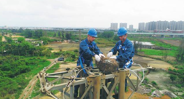 保護生態和諧共生，IKAR防墜器出一份力！
